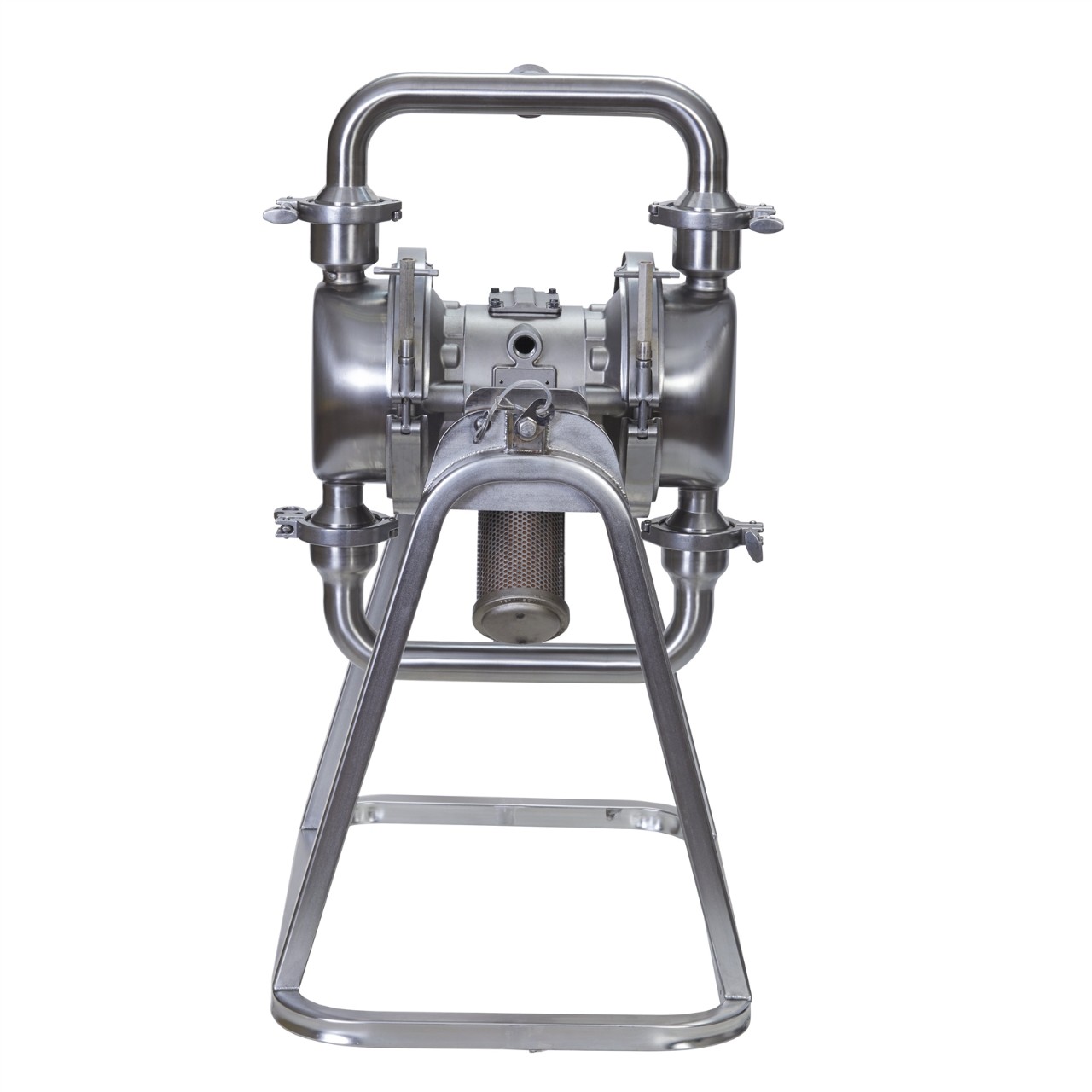 SaniForce High Sanitation Air Operated Double Diaphragm Pumps