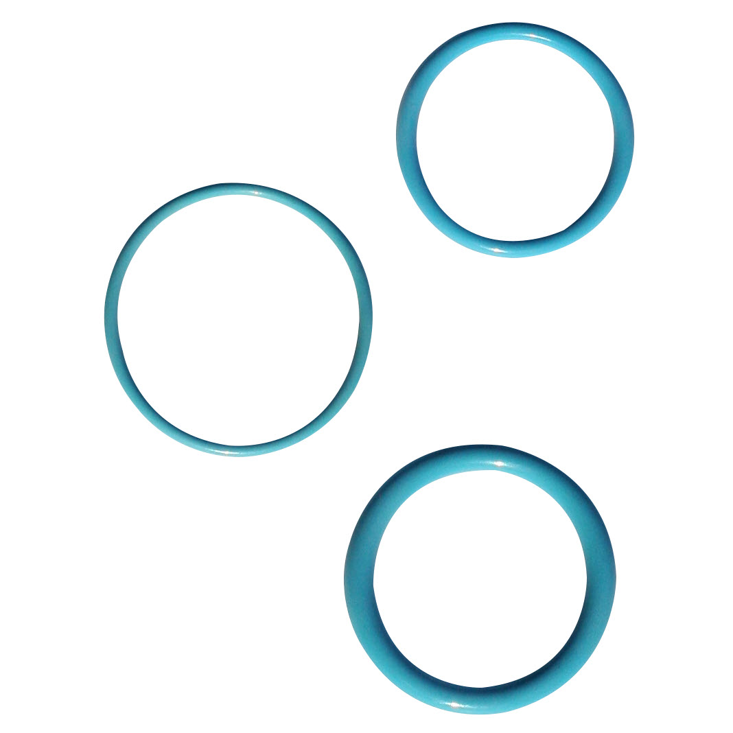 orings-food-processing