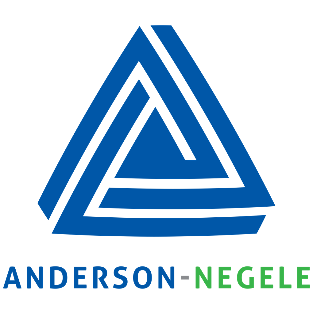 anderson negele