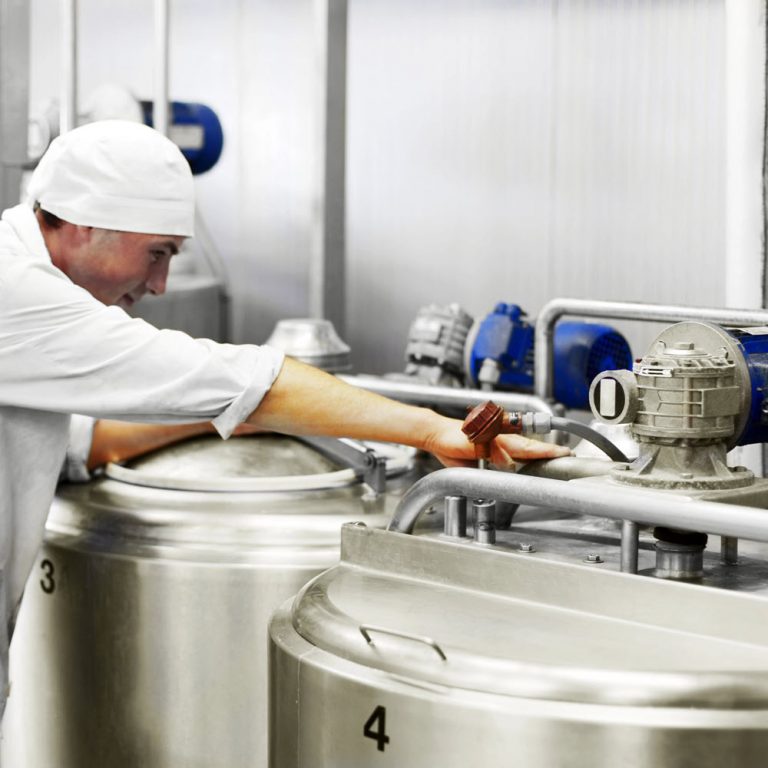 dairy processing solutions