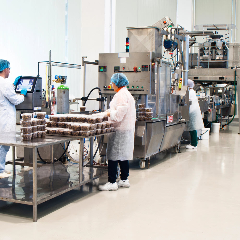 food processing solutions
